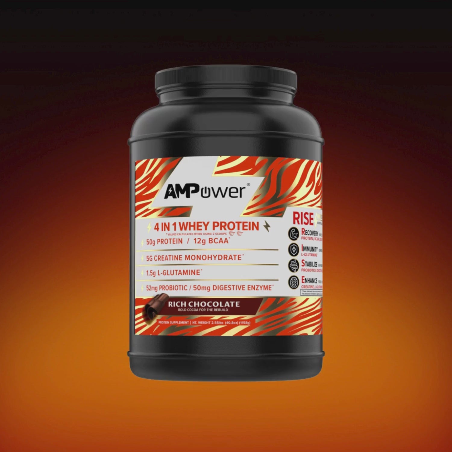 Rich Chocolate 4 In 1 Whey Protein Powder